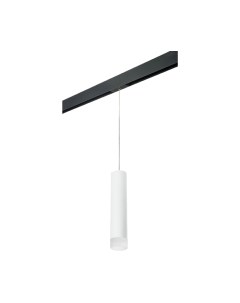 Трековый светильник Lightstar Rullo PRORP49631