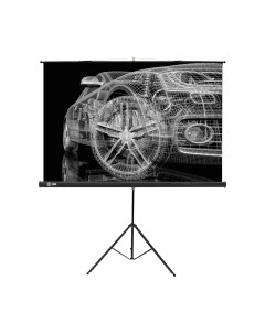 Проекционный экран Cactus Triscreen CS-PST-124x221