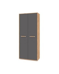 Шкаф Ф20 двухстворчатый Modern