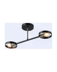 Потолочный светильник Ambrella Traditional TR8225/2 BK/SB