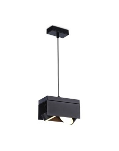 Потолочный светильник Techno Spot TN70859/2 SBK Ambrella