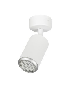Спот ЭРА OL55 WH/SL MR16 GU10 / Б0061890 Эра