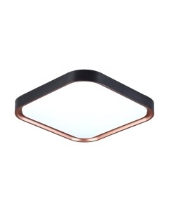 Потолочный светильник Ambrella Orbital FZ1265 BK/PGD