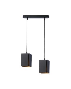 Потолочный светильник Ambrella Techno Spot TN5133/2 BK