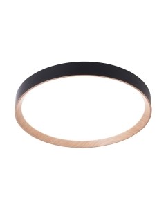 Потолочный светильник Ambrella Orbital FZ1326 BK/LWD