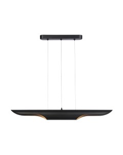 Потолочный светильник Ambrella Techno Spot TN5157/2 BK