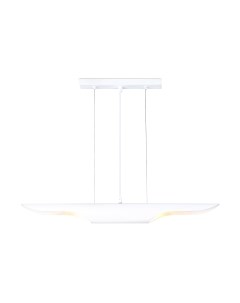 Потолочный светильник Ambrella Techno Spot TN5155/2 WH