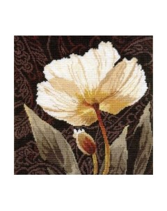 Набор для вышивания Белые цветы: Залитый светом / 2-17 Алиса