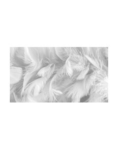 Фотообои листовые ФабрикаФресок Серые перья / 155280 Фабрикафресок