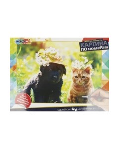 Картина по номерам MultiArt Кот и собака / CANV30X40-MULTI68 Multiart