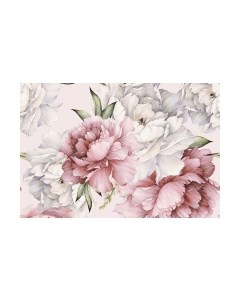 Фотообои листовые Vimala Настенные цветы 13