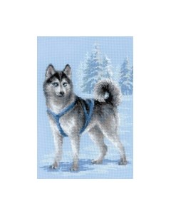Набор для вышивания Хаски / 1626 Риолис