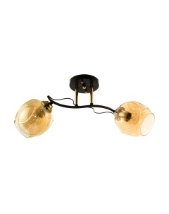 Потолочный светильник Aitin-Pro N4623/2 Aitin-pro