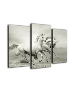 Картина модульная Arthata m-000330