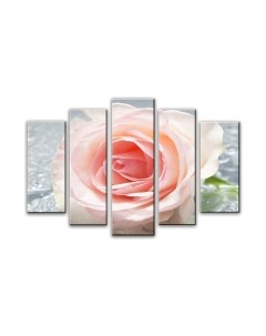 Картина модульная Arthata 5m-216