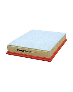 Воздушный фильтр Filtron AP029/1