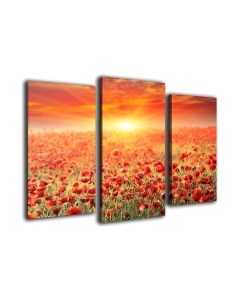 Картина модульная Arthata m-000528