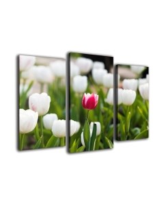 Картина модульная Arthata m-000473