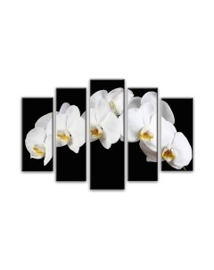 Картина модульная Arthata 5m-251