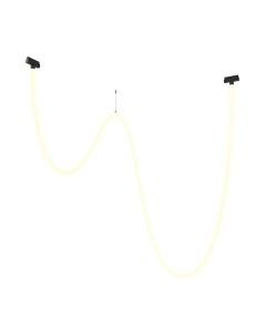 Трековый светильник Maytoni Tau TR101-2-100W3K-B