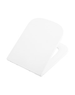 Сиденье для унитаза BelBagno BB2322SC Belbagno