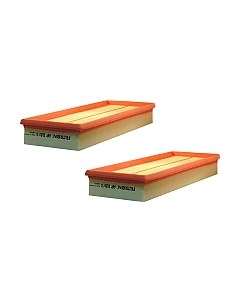 Комплект воздушных фильтров Filtron AP118/3-2x