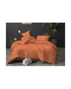 Комплект постельного белья №9038-4 2.0 с европростыней Pandora