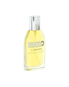 Туалетная вода Positive Parfum Enzo Langara Positive parfum