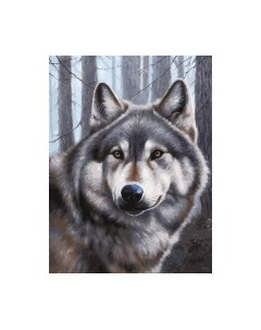 Картина по номерам БЕЛОСНЕЖКА Волк / 090-AS Белоснежка