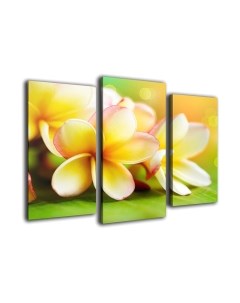 Картина модульная Arthata m-000502