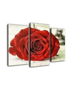 Картина модульная Arthata m-000571