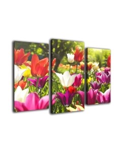 Картина модульная Arthata m-000256