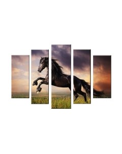 Картина модульная Arthata 5m-612