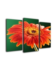 Картина модульная Arthata m-000484