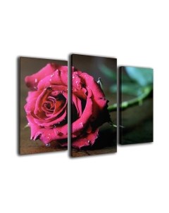 Картина модульная Arthata m-000582