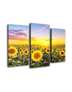 Картина модульная Arthata m-000416