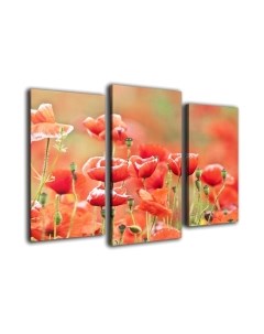 Картина модульная Arthata m-000576