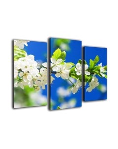 Картина модульная Arthata m-000216