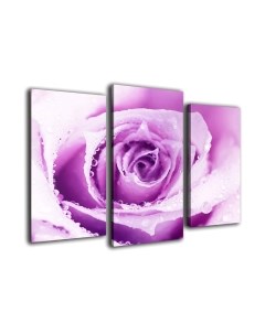 Картина модульная Arthata m-000278