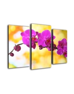 Картина модульная Arthata m-000481