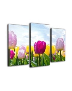 Картина модульная Arthata m-000566