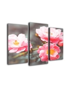 Картина модульная Arthata m-000523