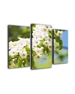 Картина модульная Arthata m-000205