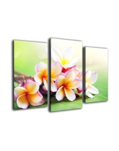 Картина модульная Arthata m-000297