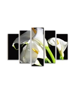 Картина модульная Arthata 5m-738