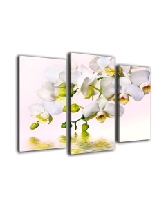 Картина модульная Arthata m-000305