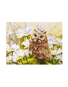 Картина по номерам Сова Везучка / 3016-CS Белоснежка