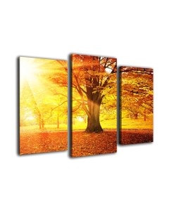 Картина модульная Arthata m-000343