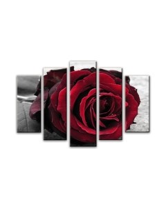 Картина модульная Arthata 5m-602