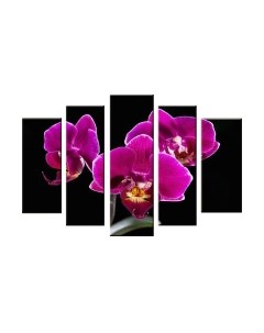 Картина модульная Arthata 5m-068